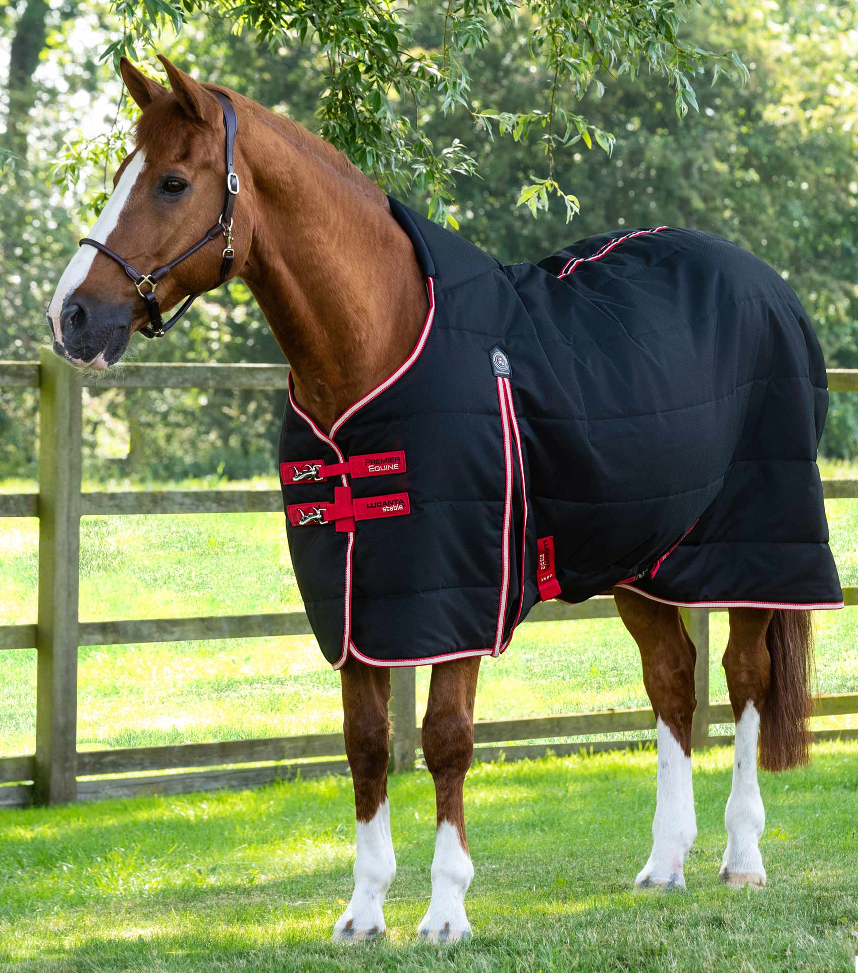Premier Equine Lucanta Demi Stable 200g Black | Horse Blanket | Stable Rug