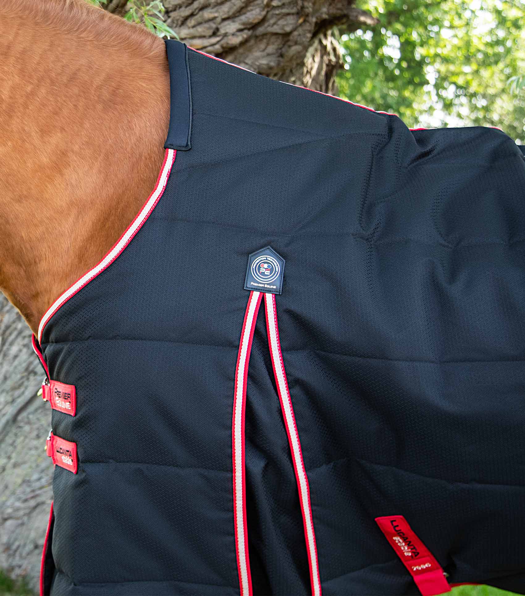 Premier Equine Lucanta 200g Stable Rug - Black, Horse Quilted Breathable Winter Rug