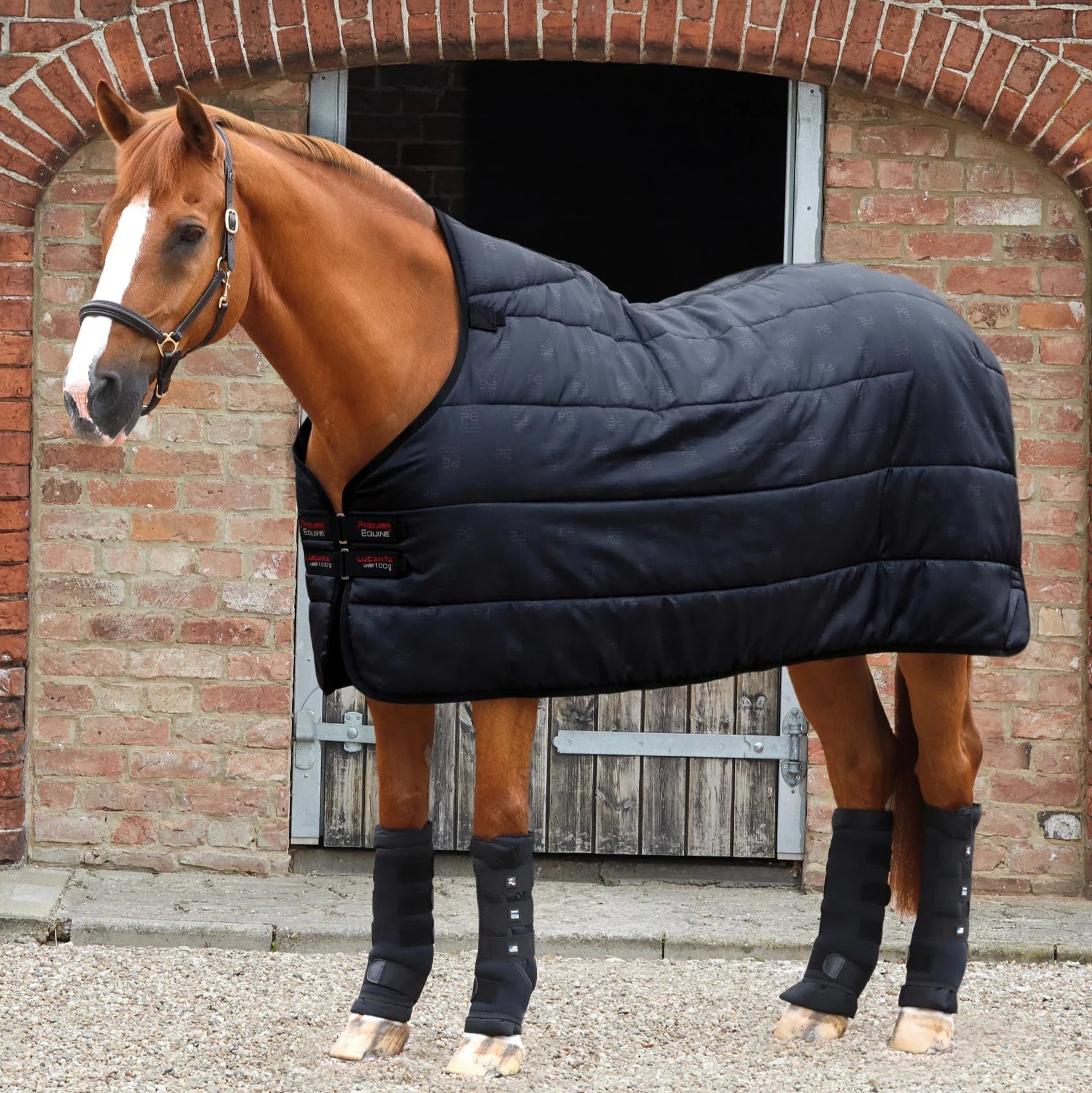 Equiflair: Premier Equine 100G Lucanta Black Horse Rug Liner & Stable Boot Wraps. Horse wearing black rug and leg wraps.