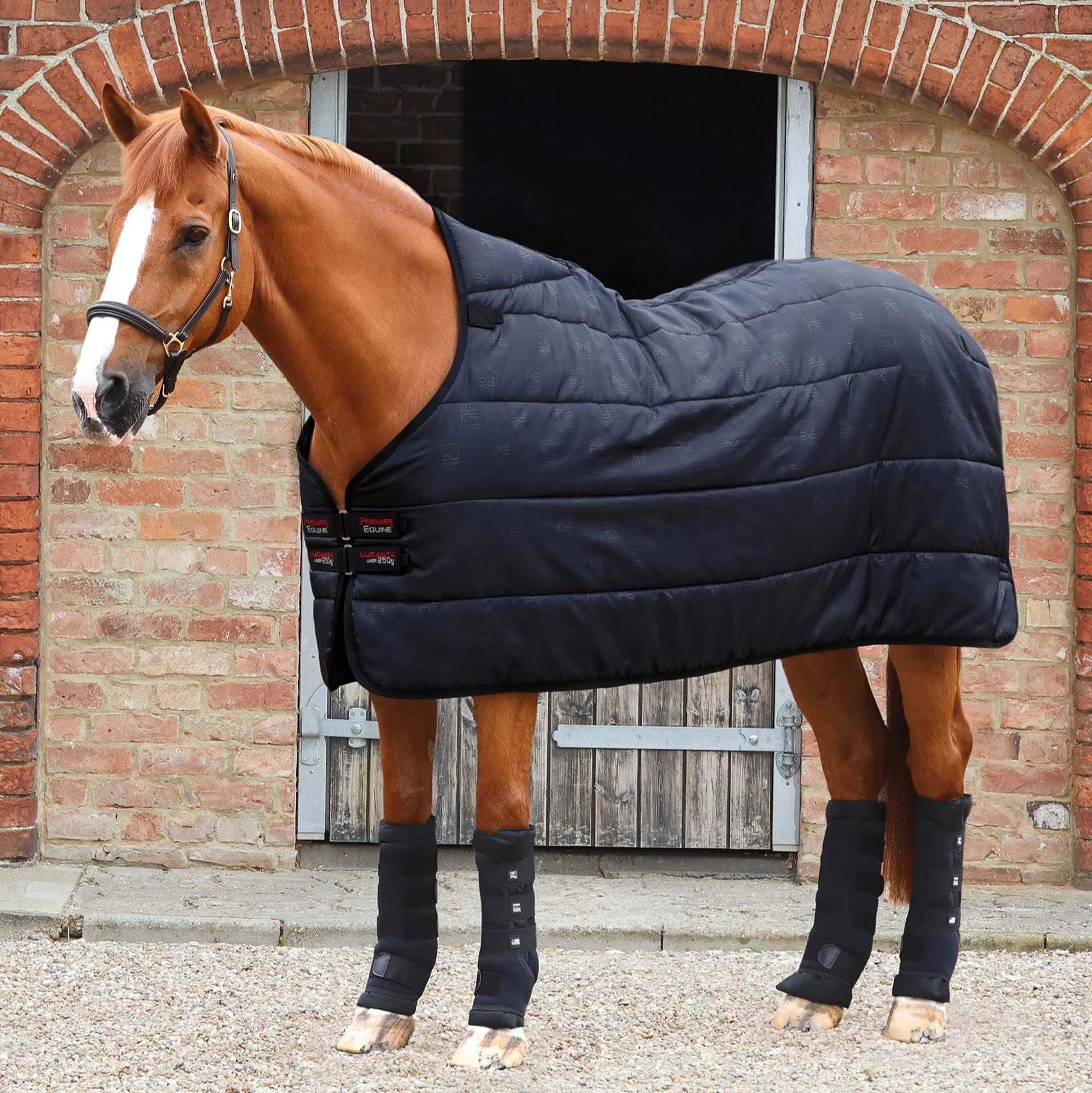PREMIER EQUINE 250G Lucanta Black Rug Liner & Stable Boot Wraps on Horse. Equiflair product photo.