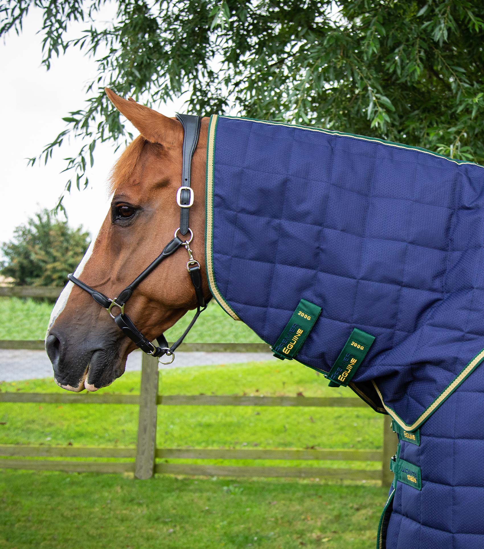 Premier Equine Lucanta 450g Stable Rug with Neck Cover Navy on Horse