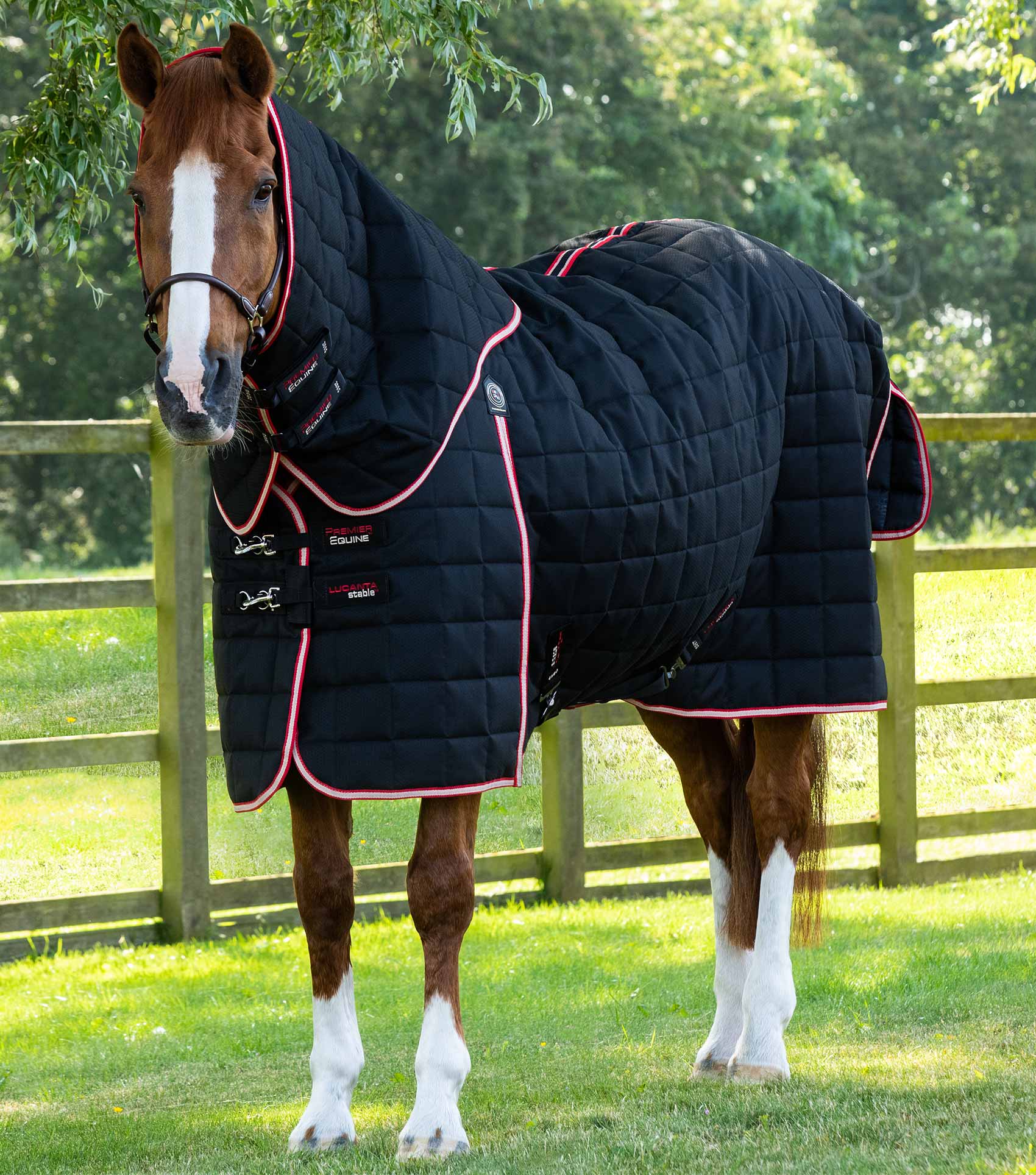 Premier Equine Lucanta Horse Stable Rug 450g with Neck Cover - Breathable Black Rug by Equiflair