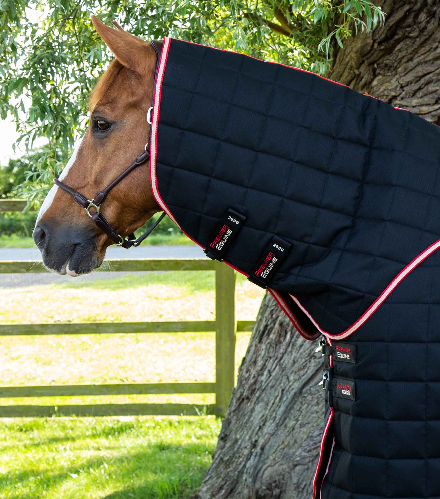PREMIER EQUINE LUCANTA Stable Rug 450G Neck Cover - Black Horse Rug