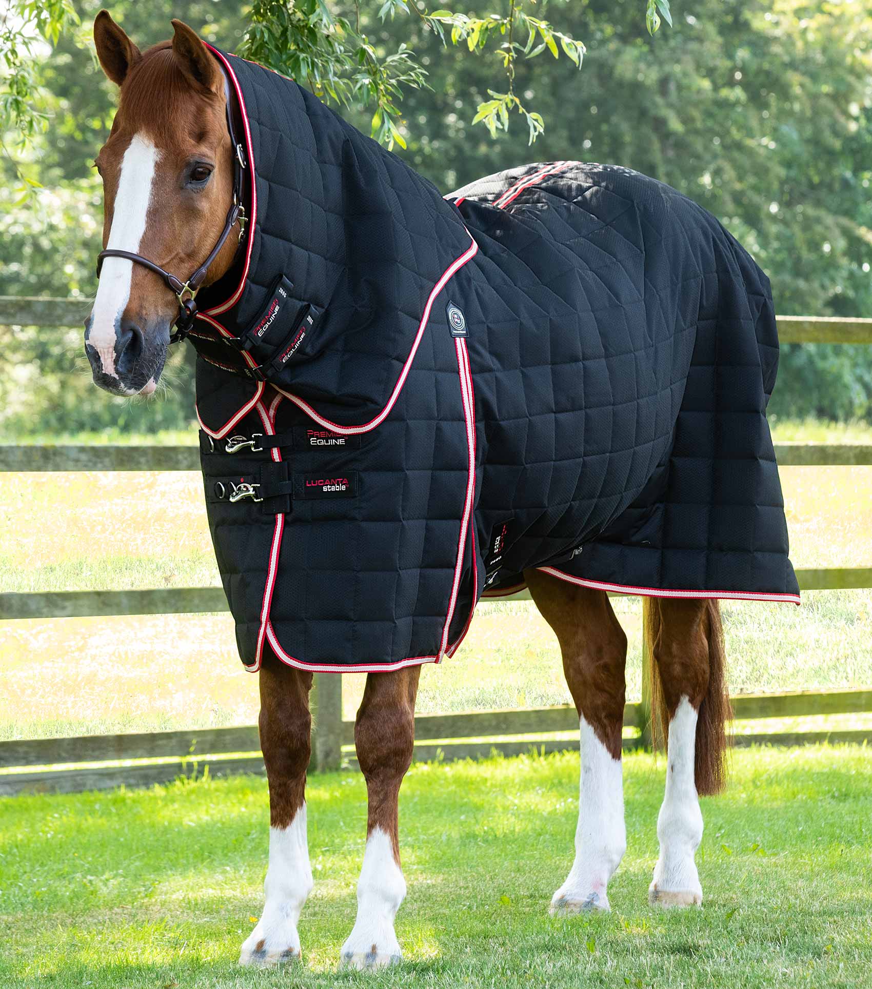 Horse wearing black Lucanta stable rug with neck cover. Premier Equine quilted horse blanket. Equiflair.