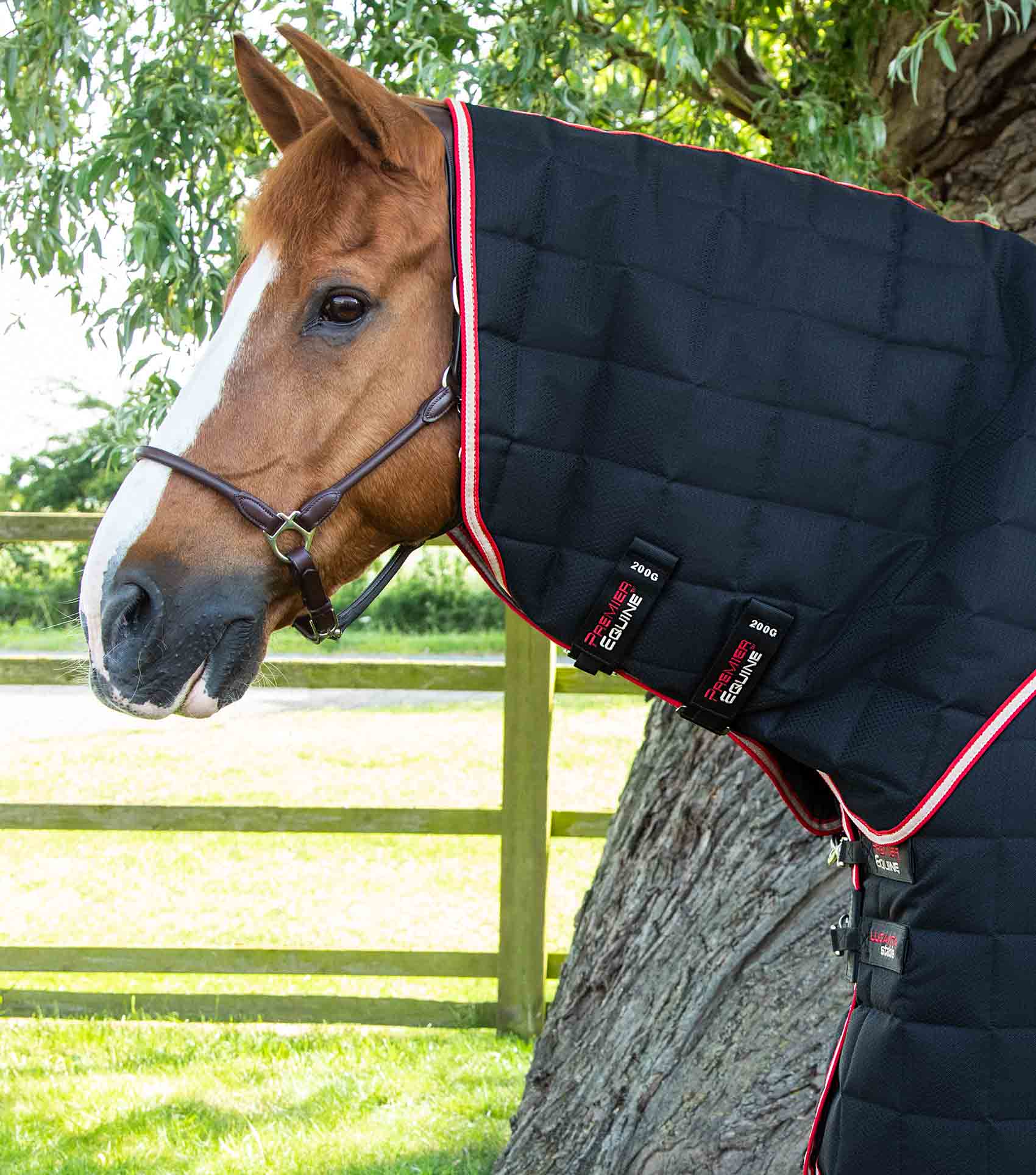 Premier Equine Lucanta Black Stable Rug & Neck Cover 200G. Breathable horse rug for warmth & comfort in stable.