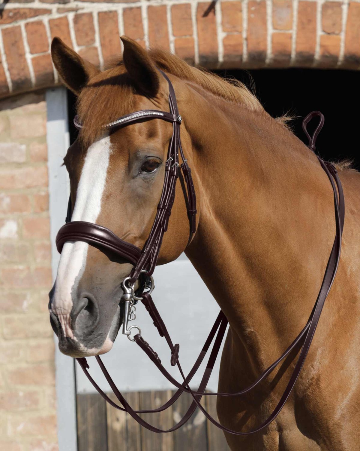 Premier Equine Luigi Plain Leather Reins Brown