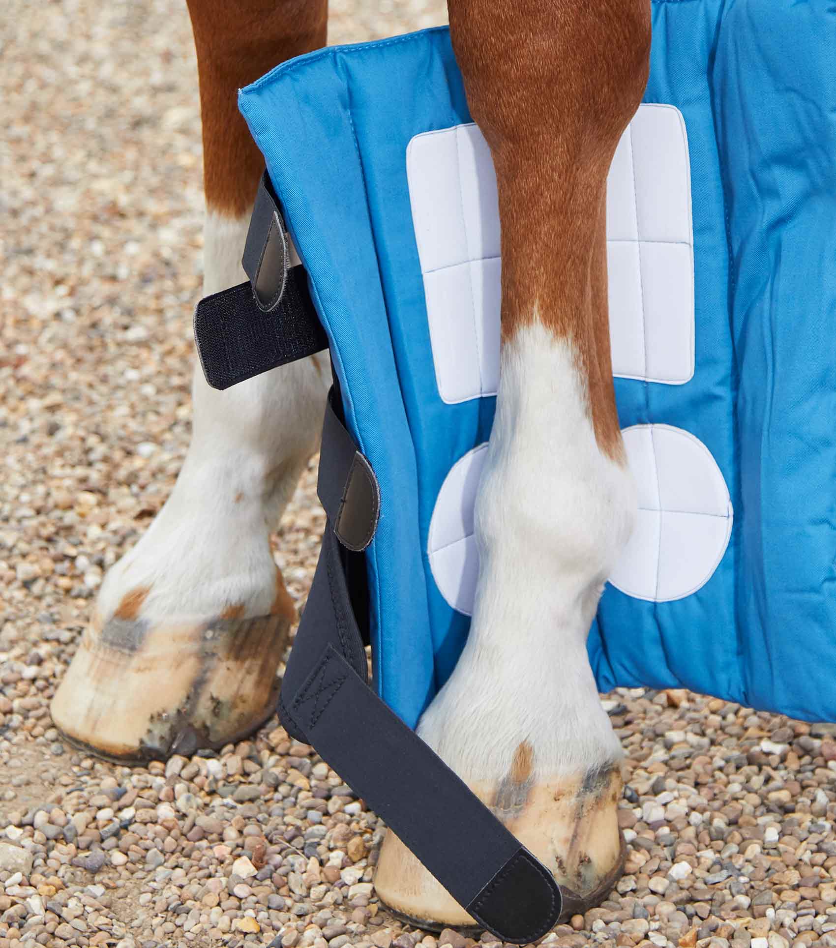 Horse Leg with Premier Equine Magni-Teque Magnetic Boot Wrap Liner for Circulation and Wellbeing.
