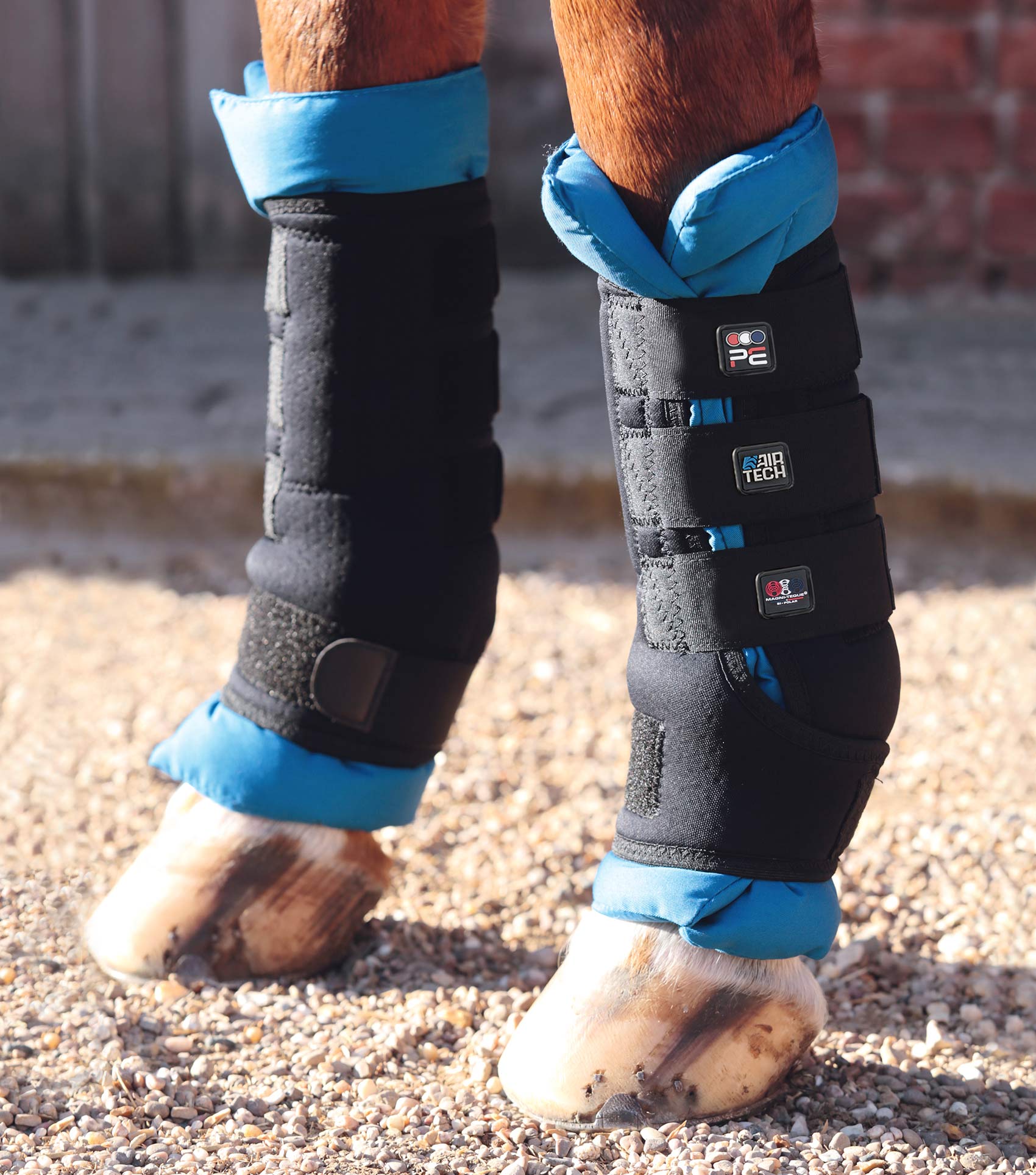 Premier Equine Magnetic Boot Wraps: Black leg supports for horses, aid recovery and wellbeing.