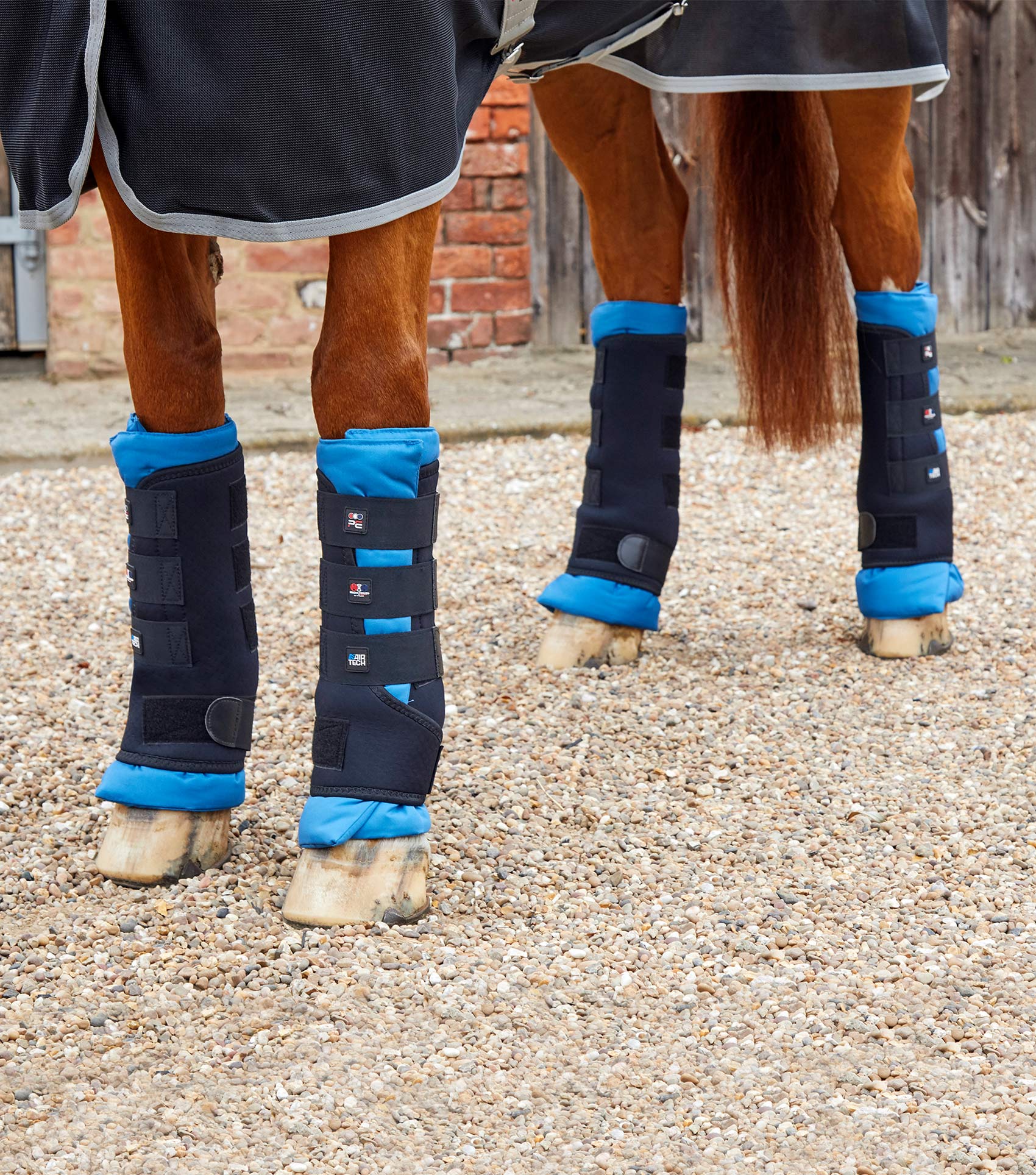 PREMIER EQUINE Magni-Teque Magnetic Boot Wraps for Horses | Black Leg Support & Circulation