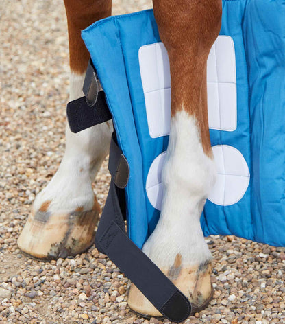 Premier Equine Magni-Teque Magnetic Boot Wraps for Horse Legs: Circulation & Recovery Support
