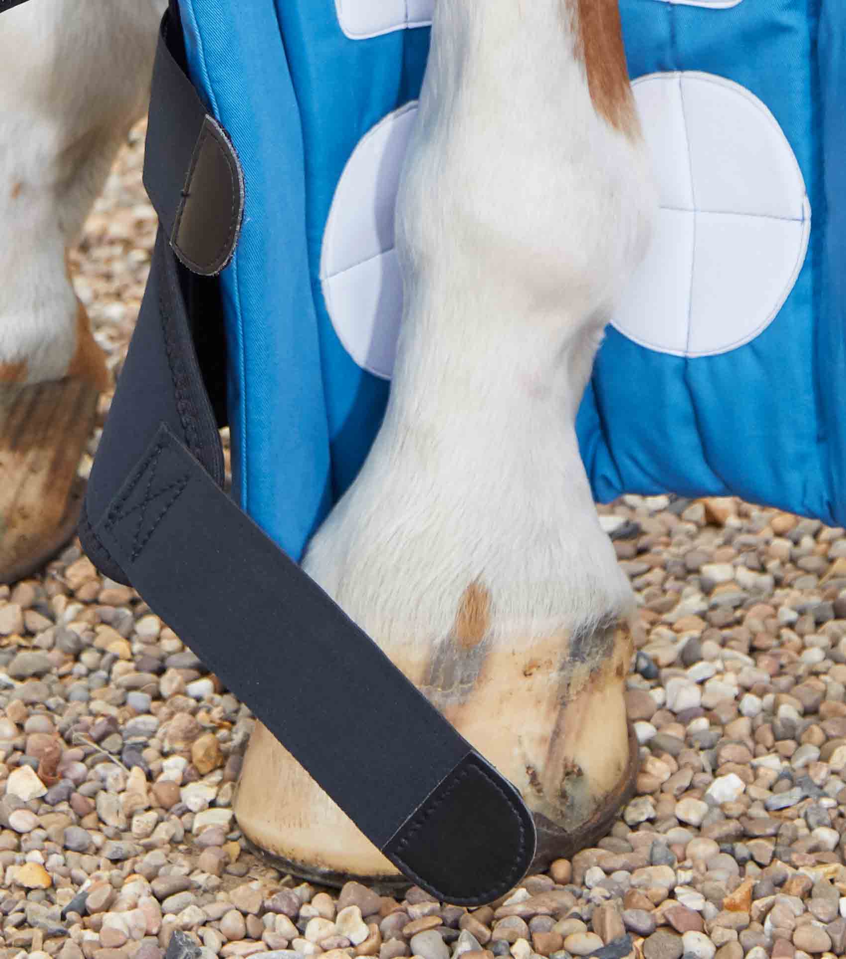 Premier Equine Magnetic Horse Leg Wraps: Black boot on horse's lower leg, therapy and support.
