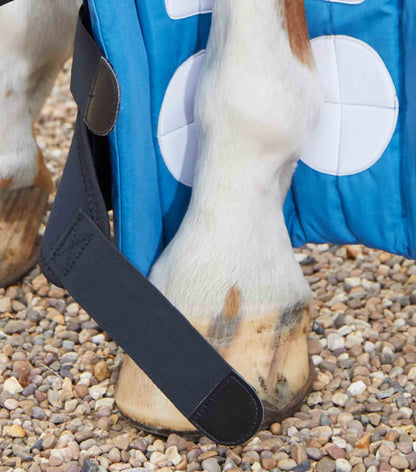 Premier Equine Magnetic Horse Leg Wraps: Black boot on horse's lower leg, therapy and support.