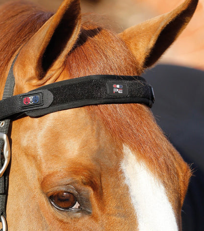 Premier Equine Magni-Teque Magnetic Browband Black - Equiflair | Horse browband for relaxation and tension relief