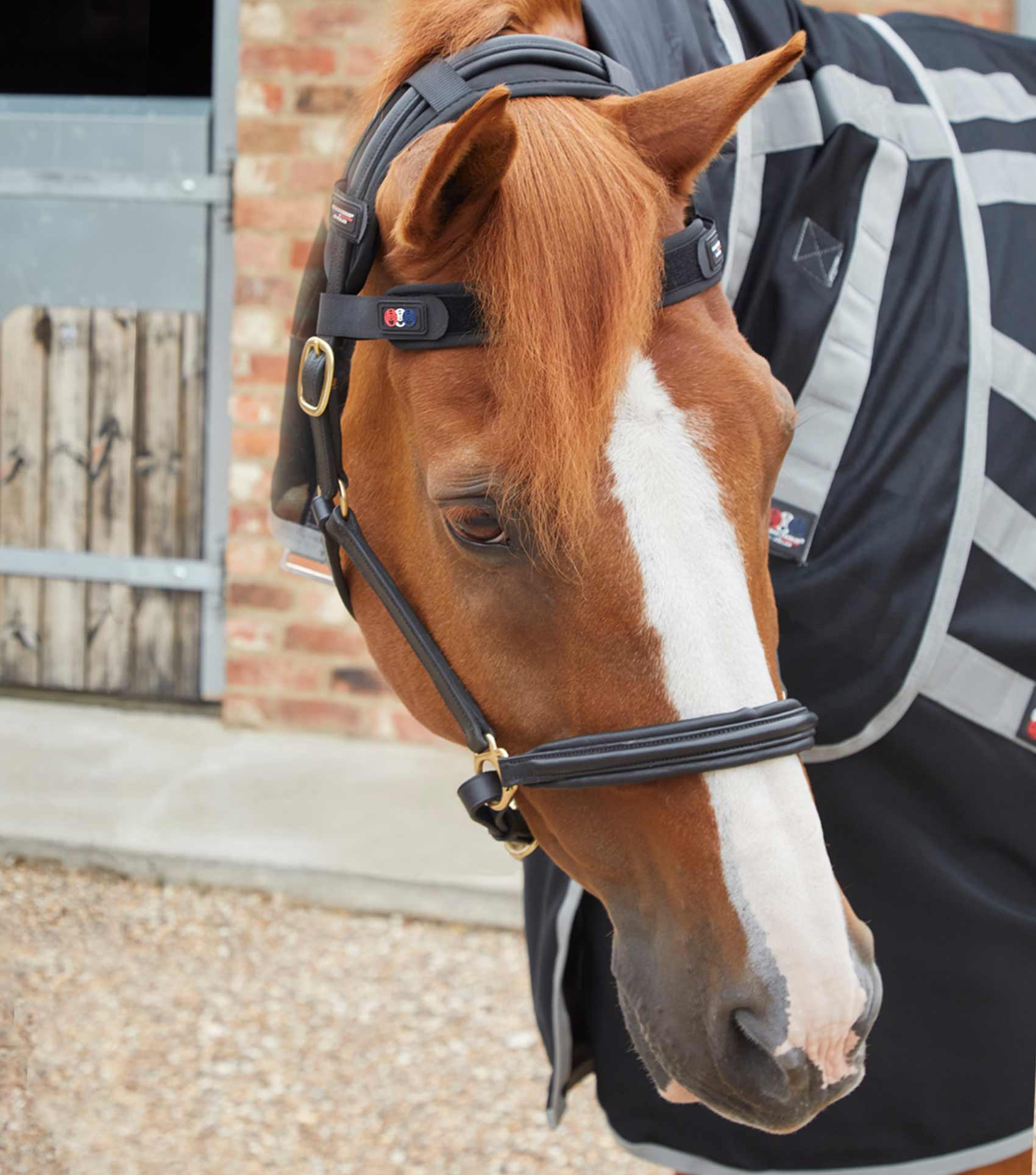 Premier Equine Magni-Teque Magnetic Browband Black | Equiflair | Horse Browband for Relaxation & Tension Relief