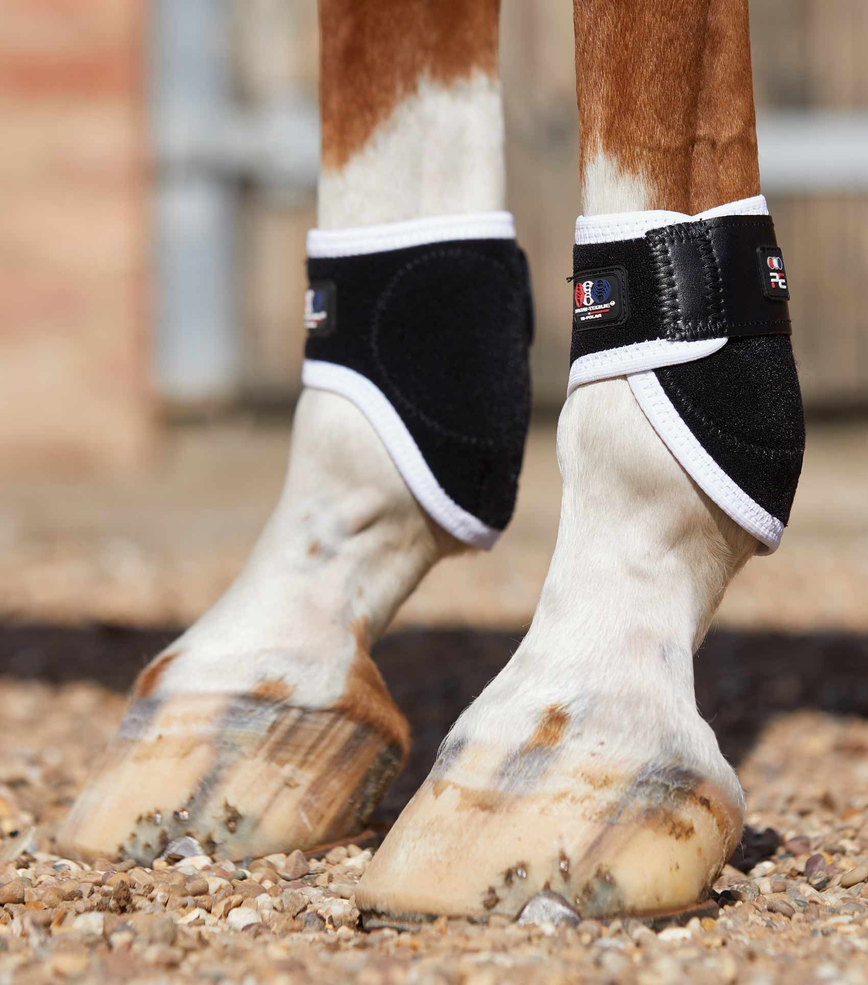 PREMIER EQUINE Magnetic Fetlock Boots Black on Horse Legs - Leg Protection & Wellbeing