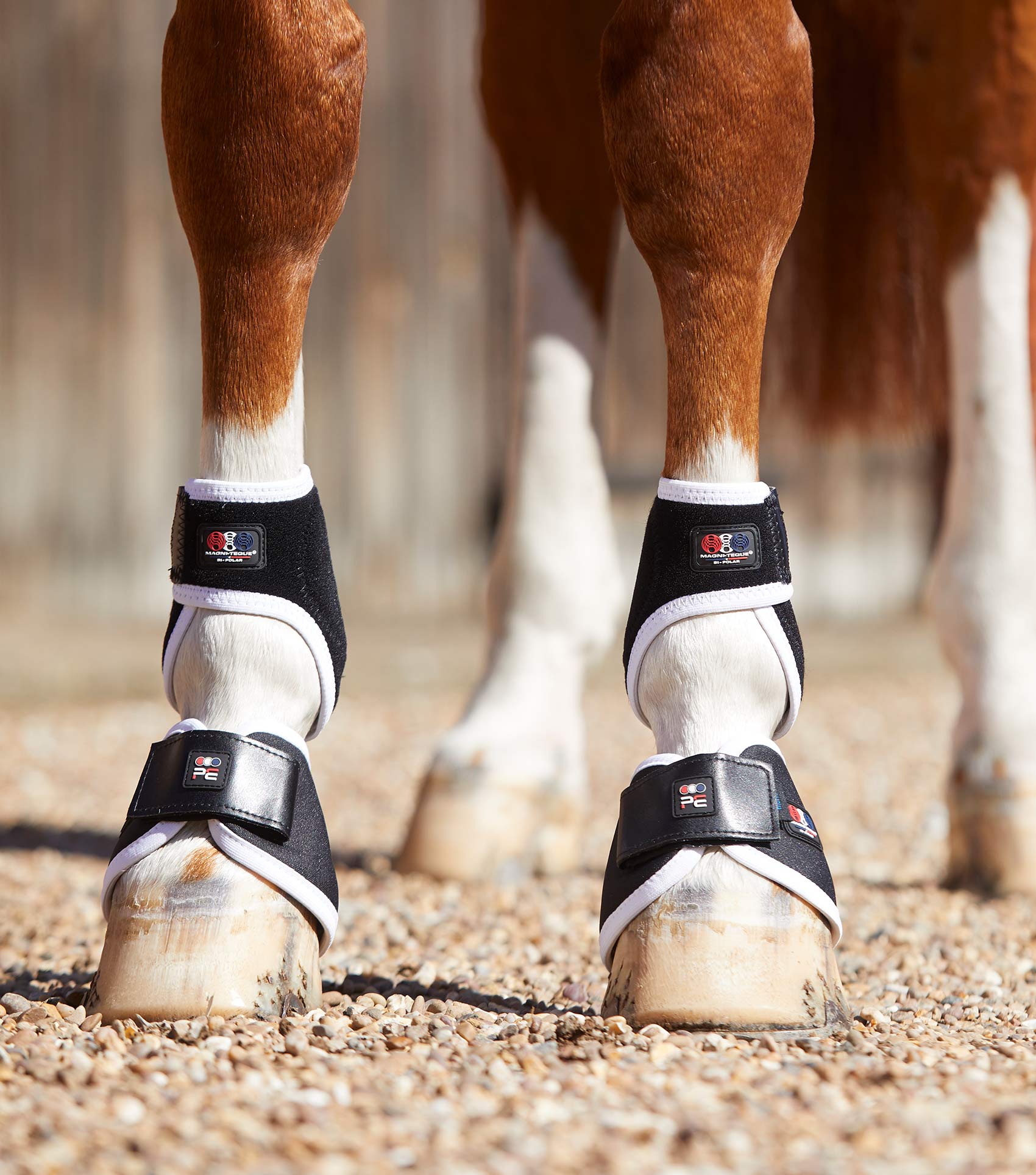PREMIER EQUINE MAGNI-TEQUE MAGNETIC HOOF BOOTS BLACK - Horse Hoof Care & Therapy