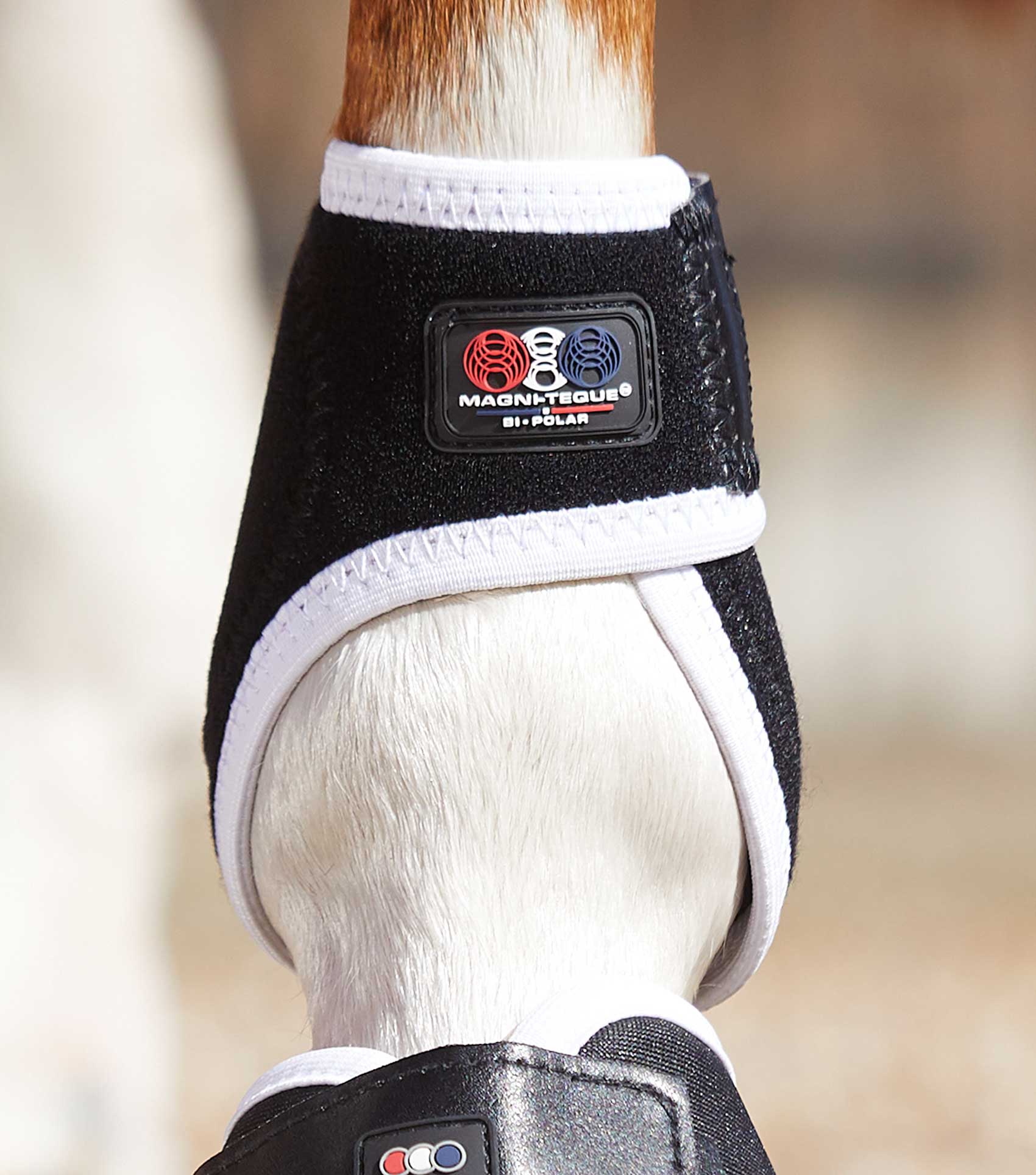 Premier Equine Magni-Teque Black Magnetic Fetlock Boots for Horses - Support, Circulation, Recovery
