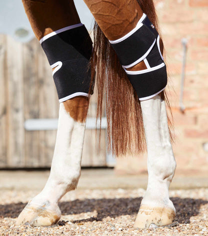Premier Equine Magni-Teque Magnetic Hock Boots Black - Horse leg support, therapy, circulation and recovery aid. Equiflair stockist