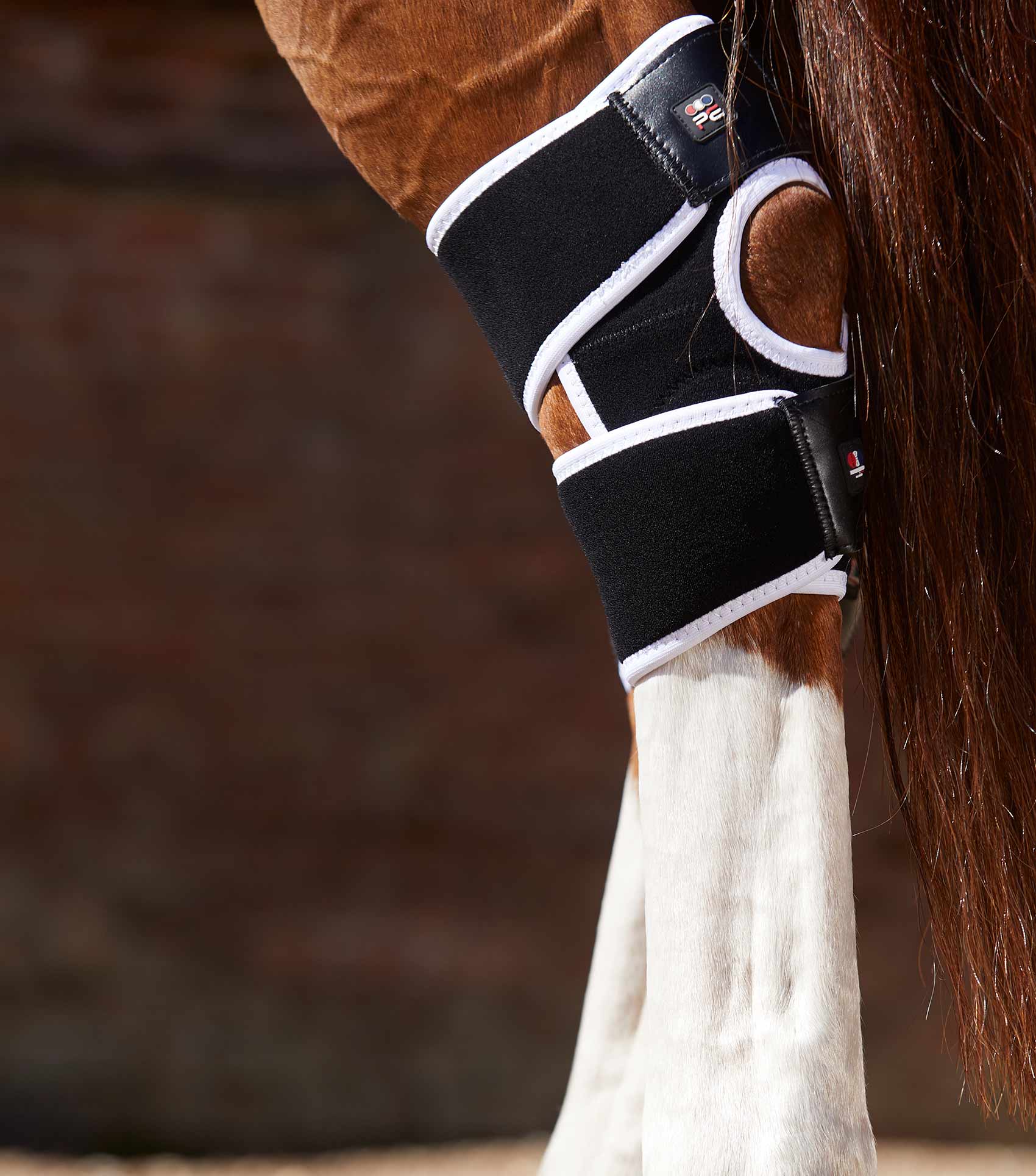 Premier Equine magnetic horse hock boots for circulation & recovery. Magni-Teque black hock boots for equine wellbeing.