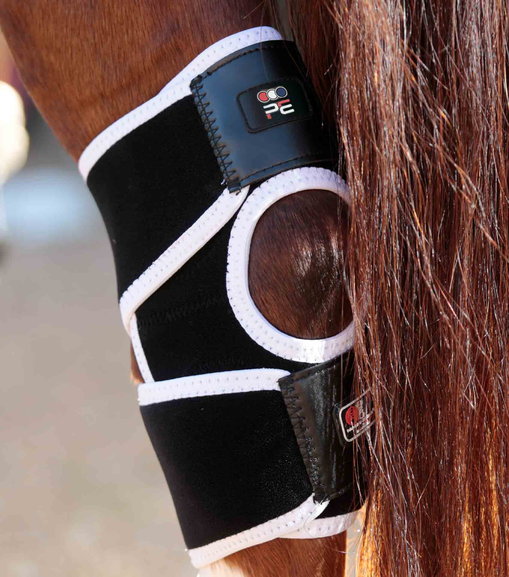 Premier Equine Magni-Teque Magnetic Hock Boots Black for Horses - Hock Support