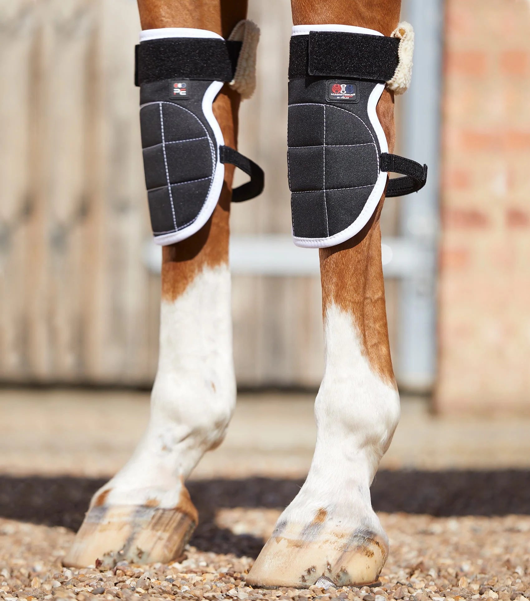 Premier Equine Magni-Teque Magnetic Horse Knee Boots Black, close-up view. Equine leg protection, support, and magnetic therapy.
