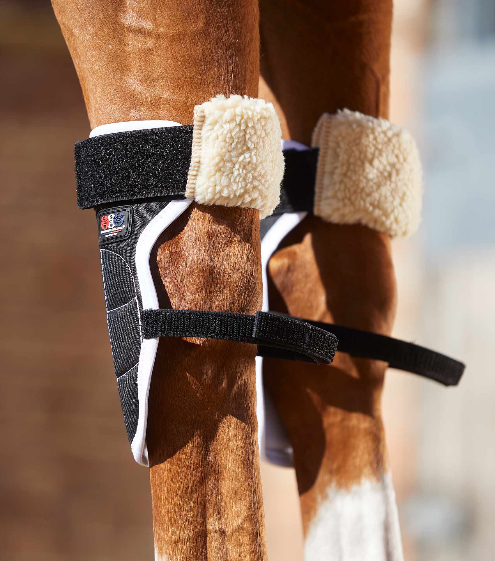 PREMIER EQUINE Magnetic Horse Knee Boots Black: Provides support and promotes circulation, muscle recovery. Equiflair