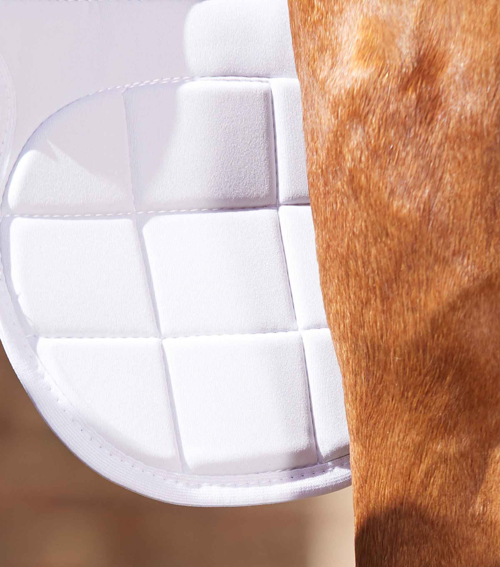 Premier Equine Magnetic Horse Knee Boots - White Therapy Support for Joint Health & Mobility | Equiflair