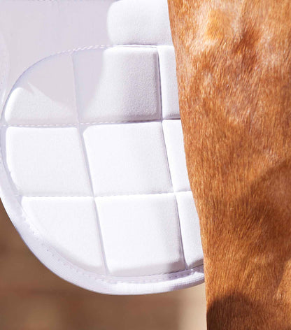 Premier Equine Magnetic Horse Knee Boots - White Therapy Support for Joint Health & Mobility | Equiflair