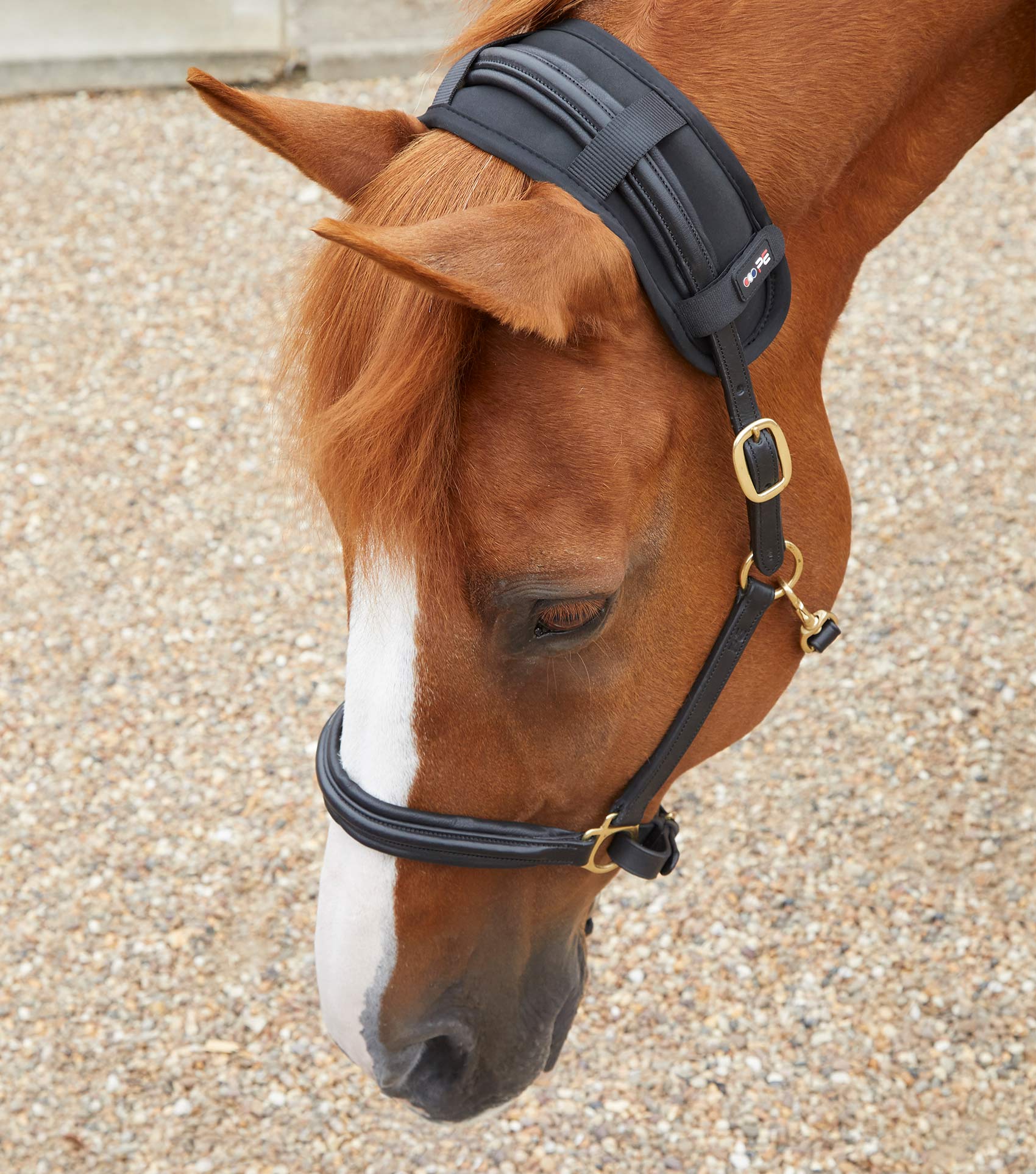 Premier Equine Magnetic Poll Band - Black Horse Head Collar for Tension Relief and Relaxation