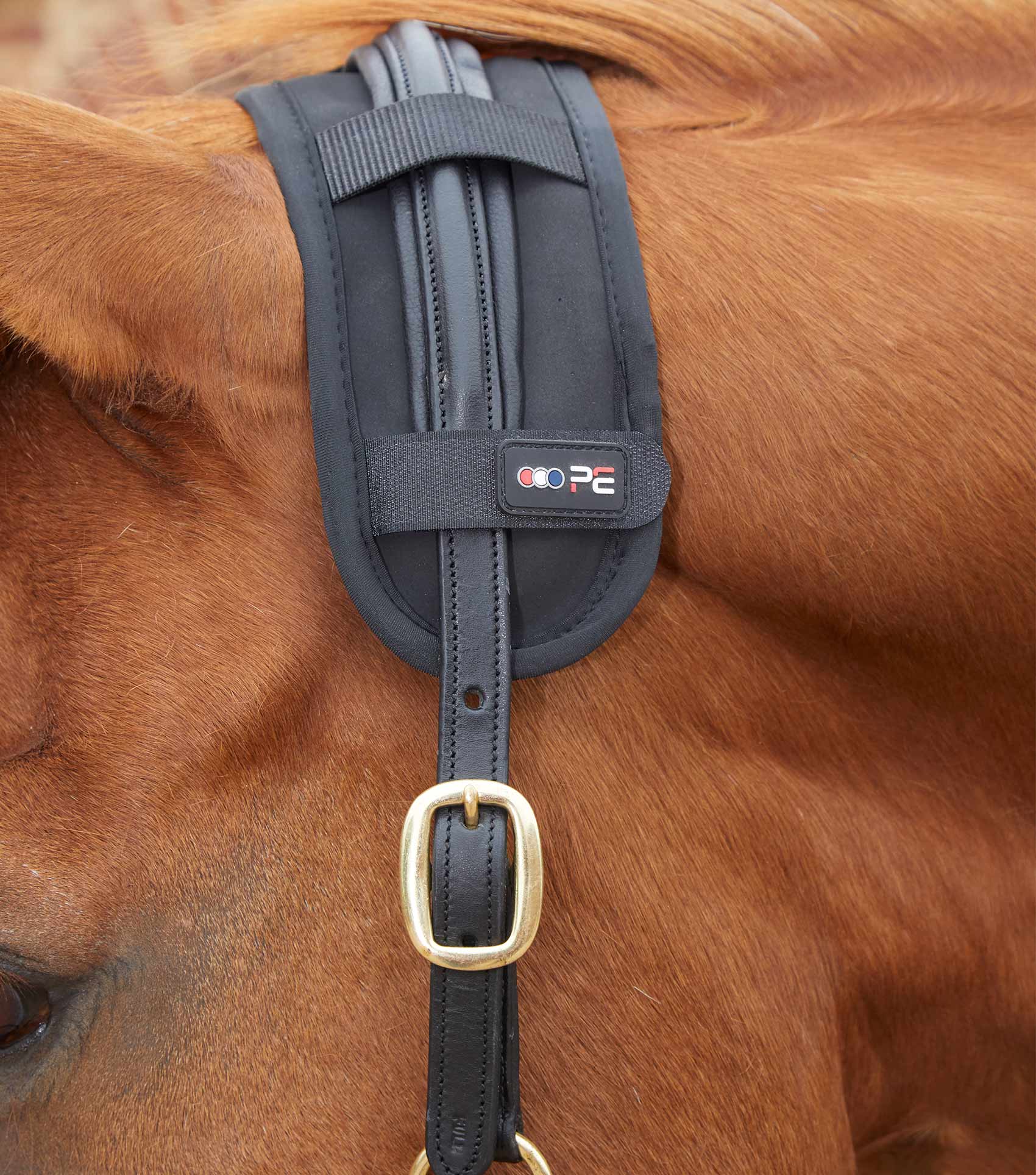 Premier Equine Magni-Teque Black Magnetic Poll Band for Horses - Tension Relief, Stress Reduction, Circulation Aid