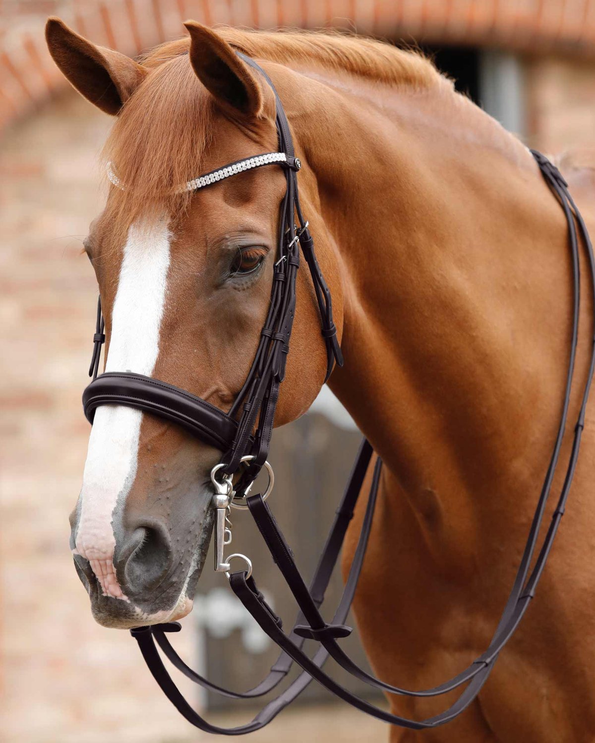 Premier Equine Matteo Leather Grip Reins Brown