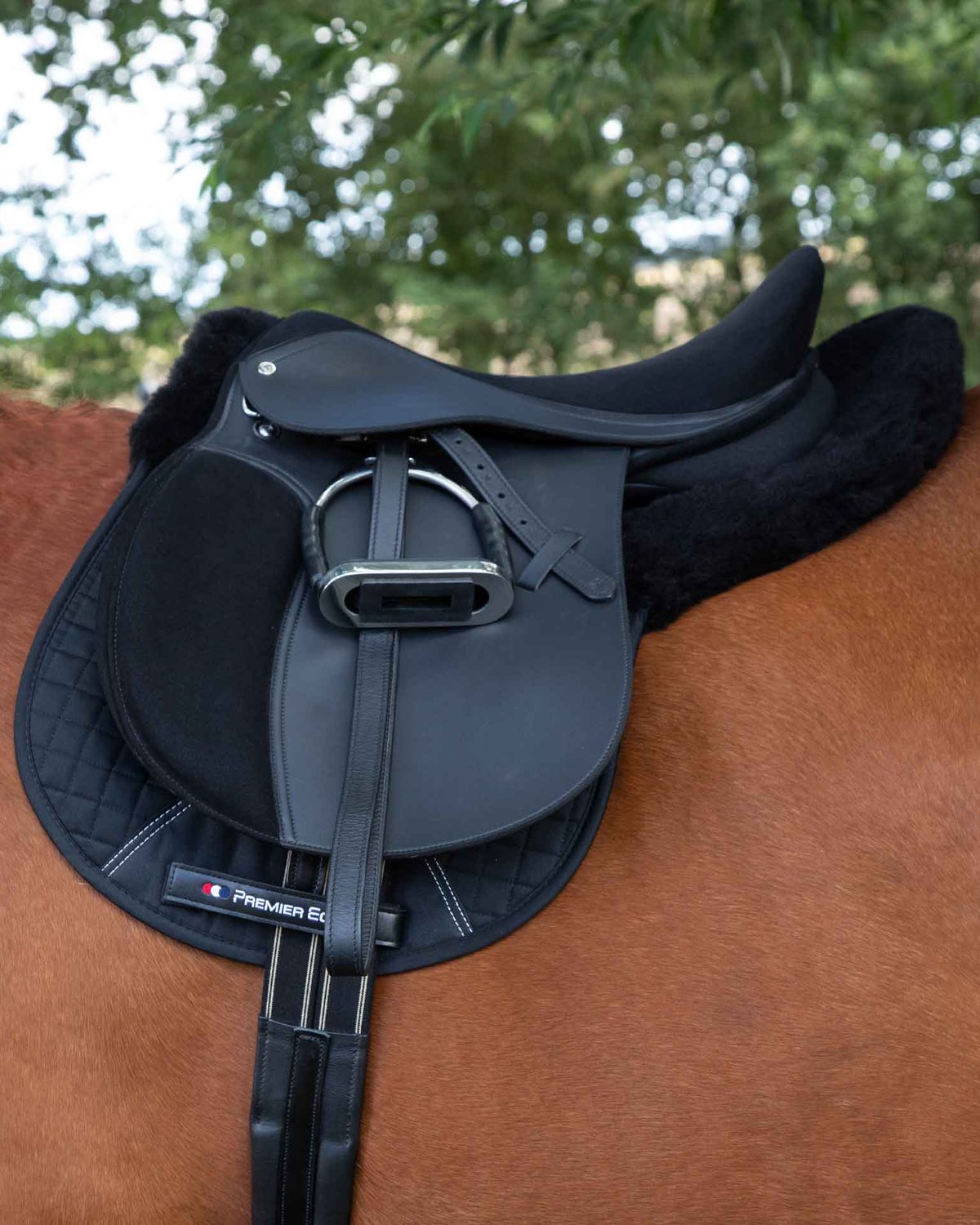 Premier Equine Black Merino Wool GP/Jump Saddle Pad - Equiflair store - Comfortable Horse Riding Equipment