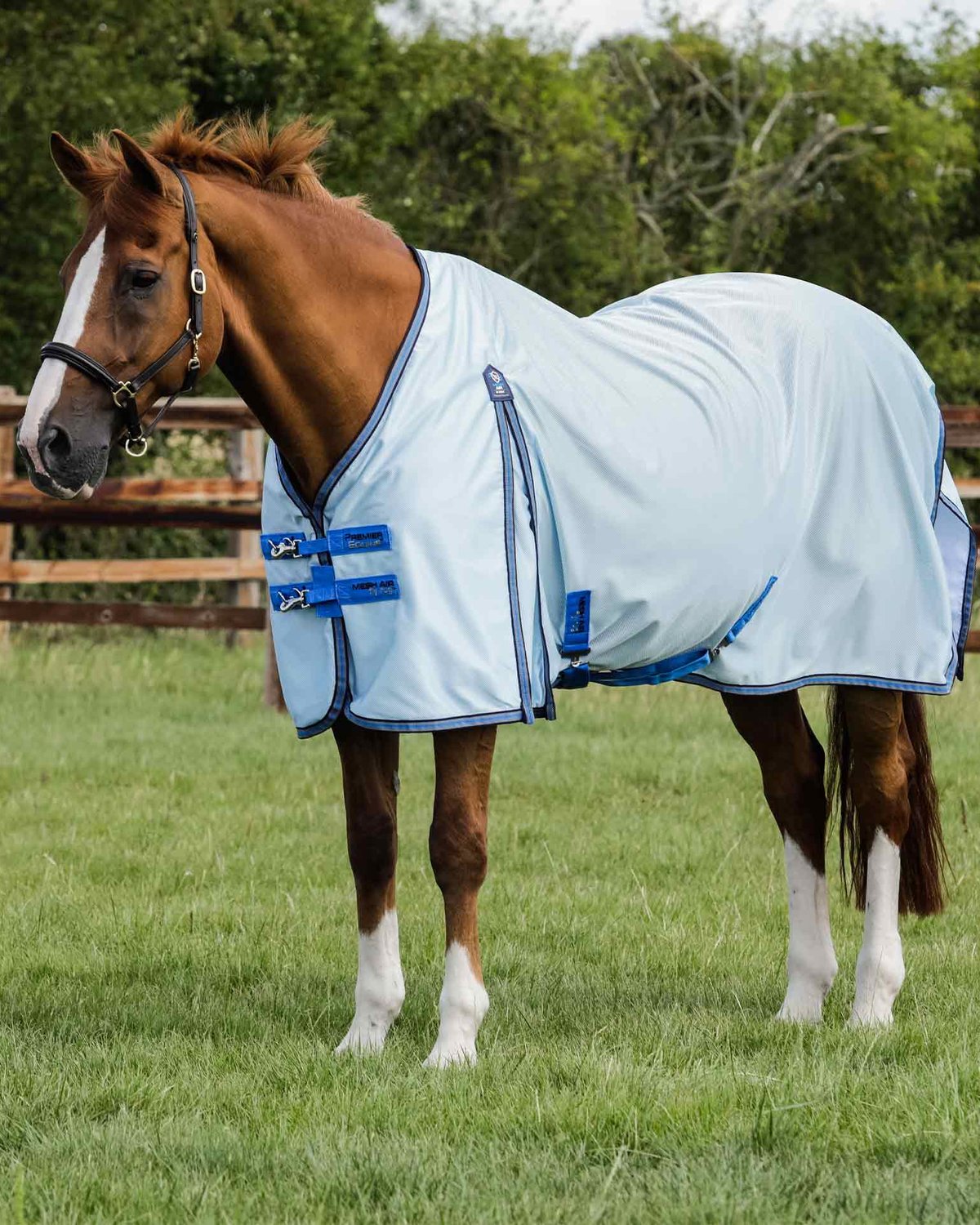 Premier Equine Mesh Air Fly Rug with Surcingles Blue