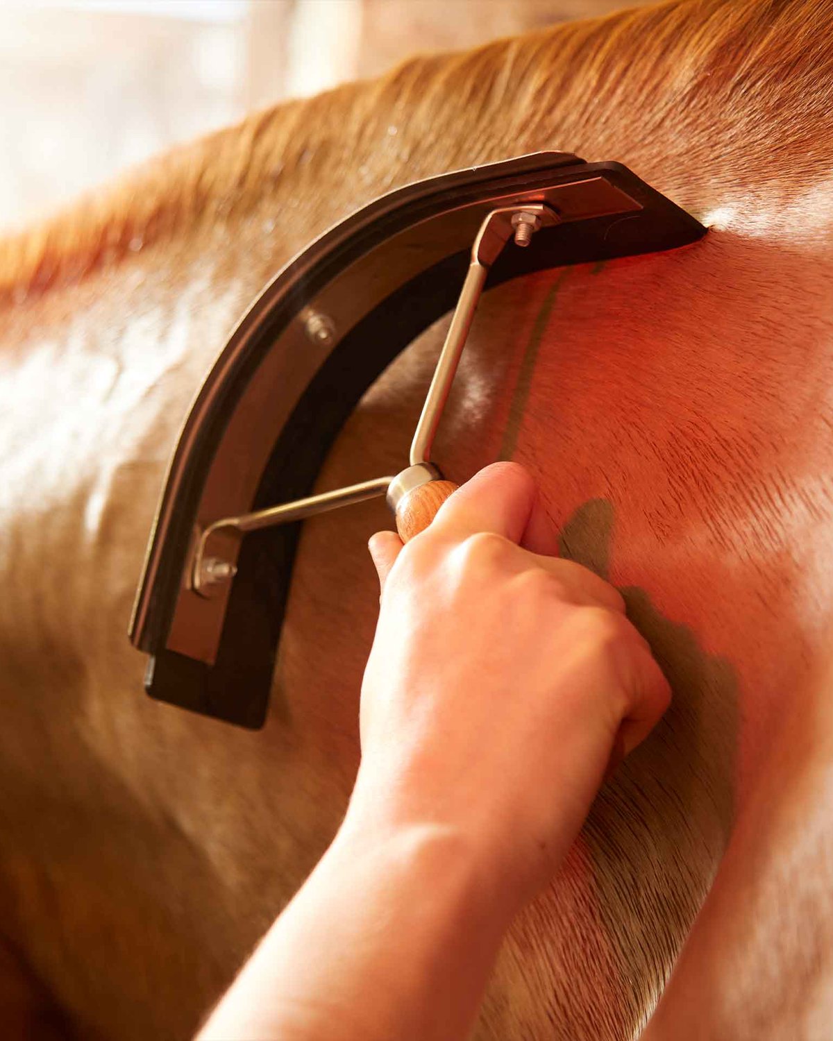 Premier Equine Metal Sweat Scraper with Wooden Handle Silver