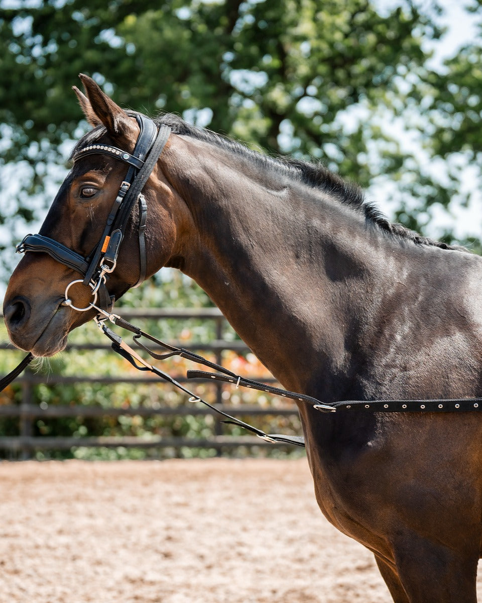CAMEO SIDE REINS BLACK: Horse lunging with Elasticated Nylon Side Reins for Schooling. Equiflair Product C604. UK Made.