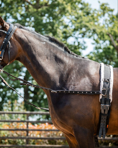 CAMEO DELUXE BREAKING ROLLER - Equiflair, Horse Training Equipment, Equine Comfort, Breaking Roller C606