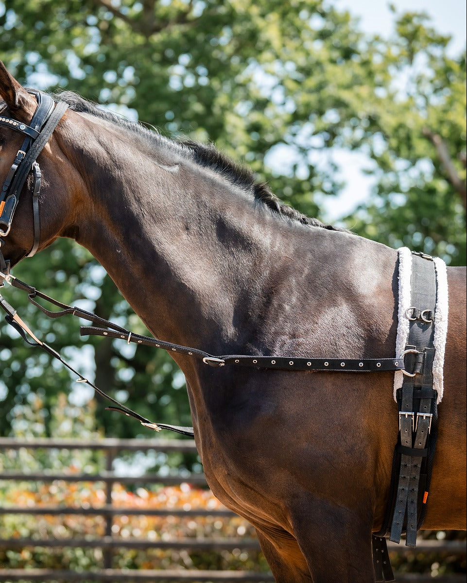 CAMEO DELUXE BREAKING ROLLER - Equiflair, Horse Training Equipment, Equine Comfort, Breaking Roller C606