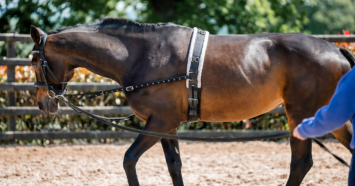 Equiflair CAMEO DELUXE Breaking Roller: Horse Training Equipment for Comfort & Durability