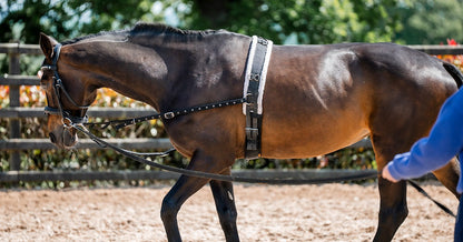 Equiflair CAMEO DELUXE Breaking Roller: Horse Training Equipment for Comfort & Durability