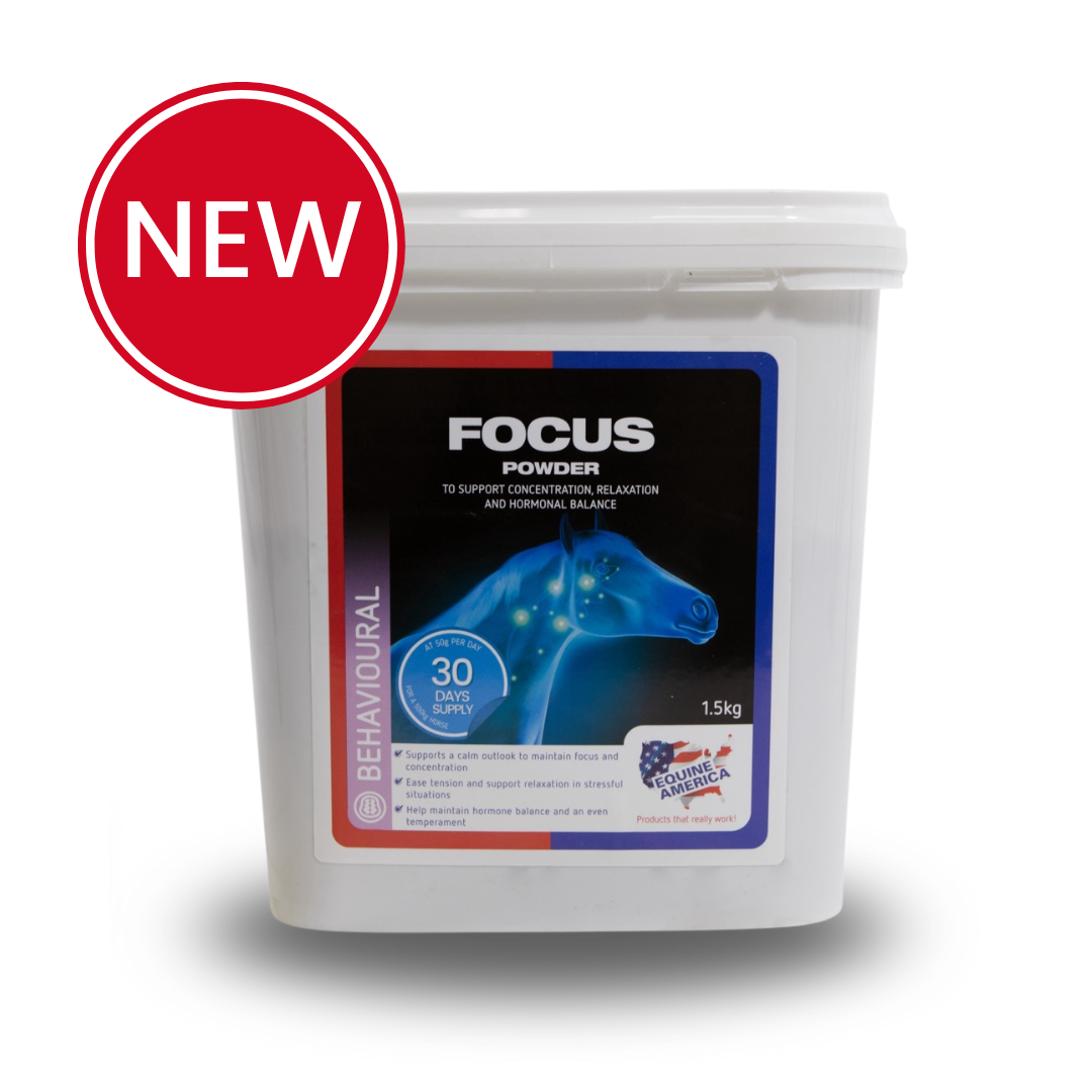 NEW Equine America Focus Powder for horses - supports concentration, relaxation, and hormonal balance.