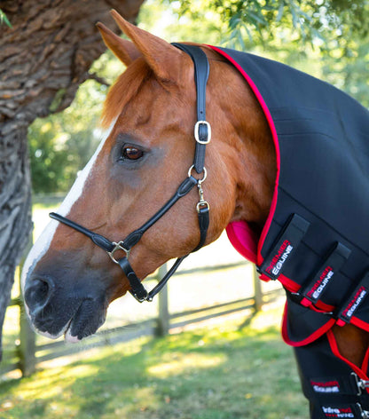 Chestnut Horse Wearing PREMIER EQUINE Infrared Rug - Equiflair. Warm Up & Cool Down, Nano-Tec Technology