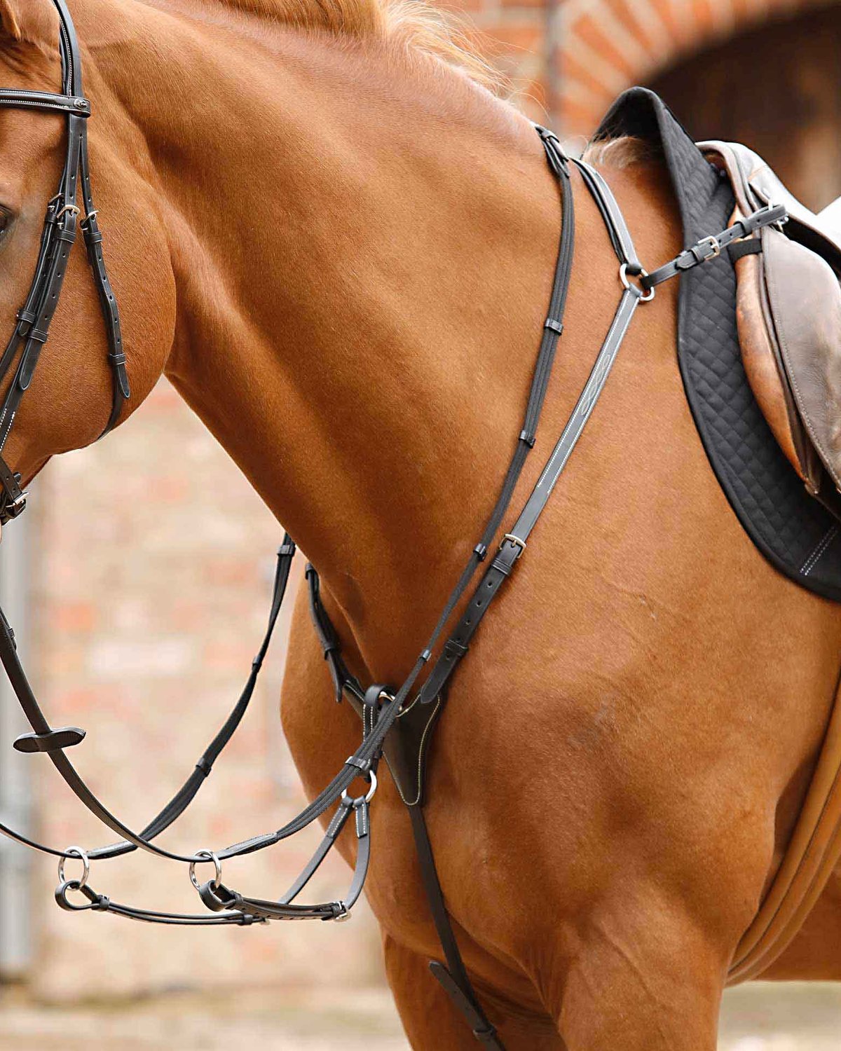 Premier Equine Norbello Hunter Breastplate Black