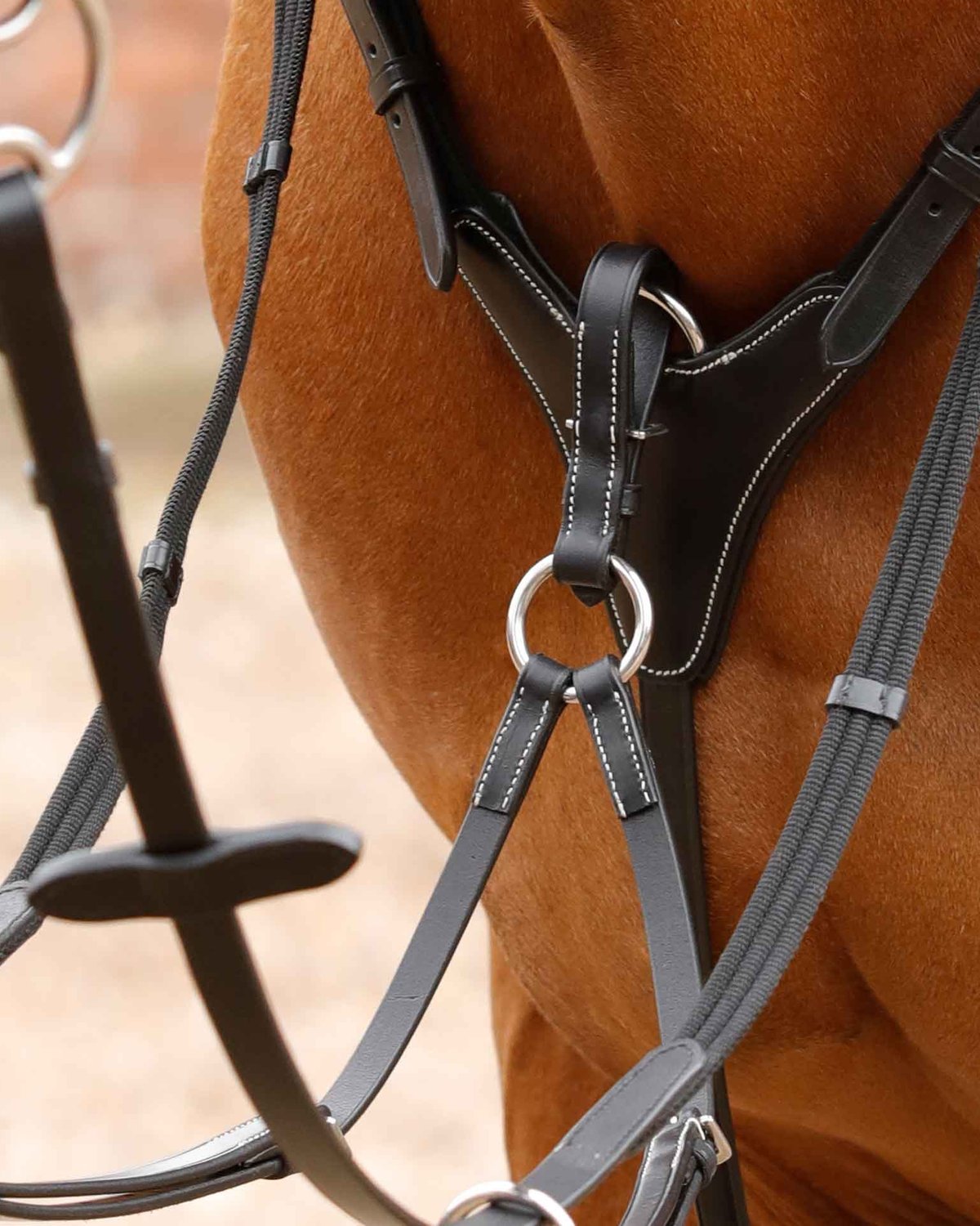 Premier Equine Norbello Hunter Breastplate Black