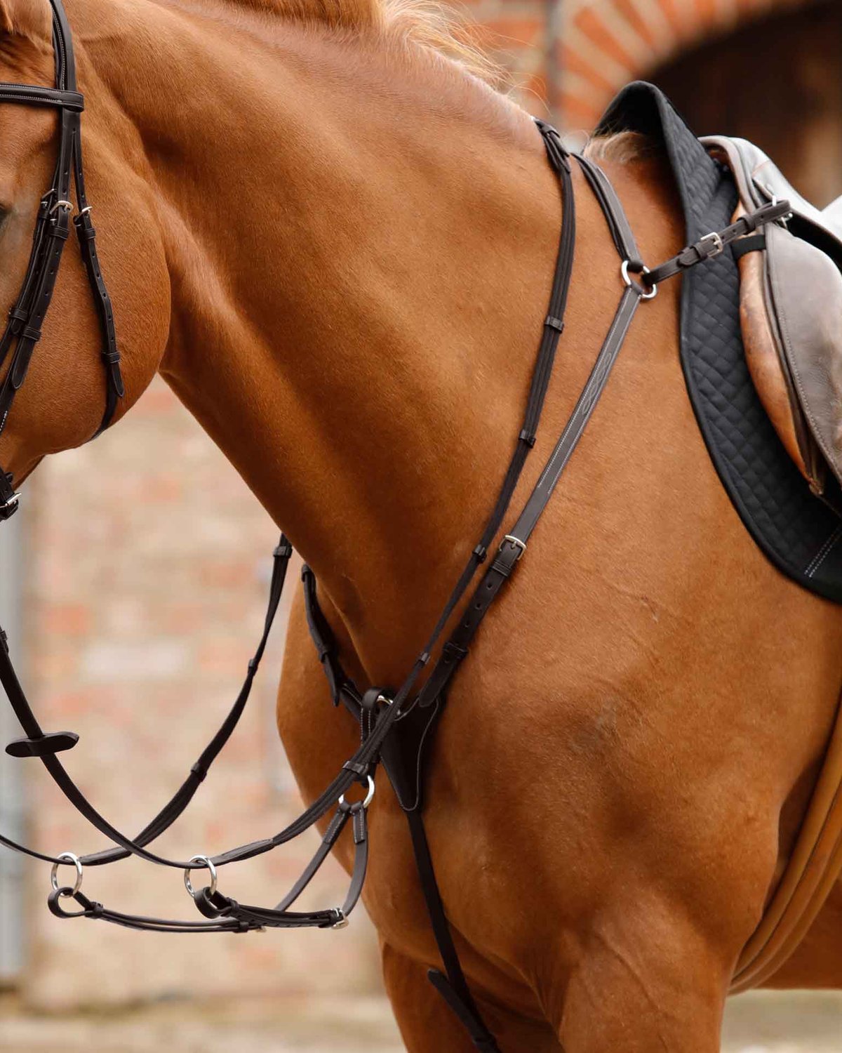 Premier Equine Norbello Hunter Breastplate Brown