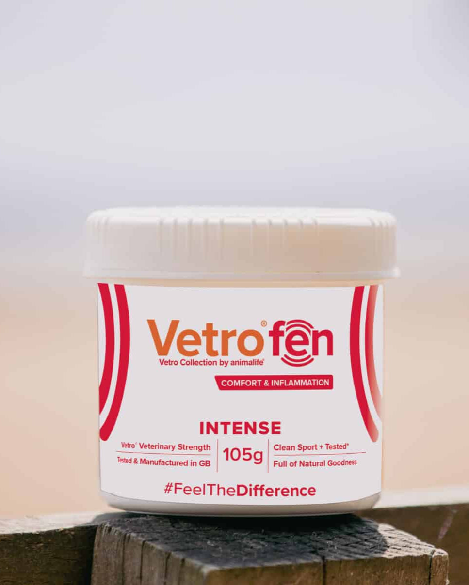 Vetrofen Intense: Horse Joint Supplement for Inflammation & Equine Health