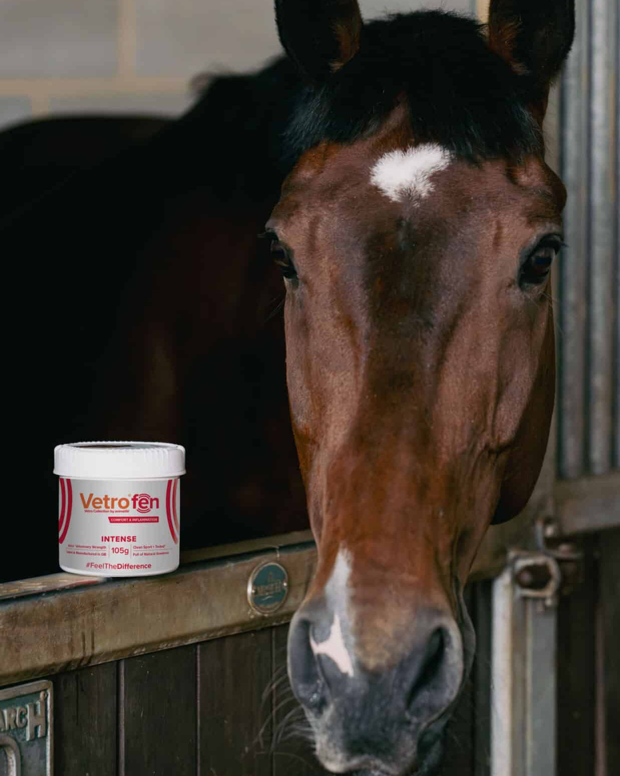 Vetrofen Intense for Horses: Joint Support & Inflammation Relief | Horse in Stable | Equiflair