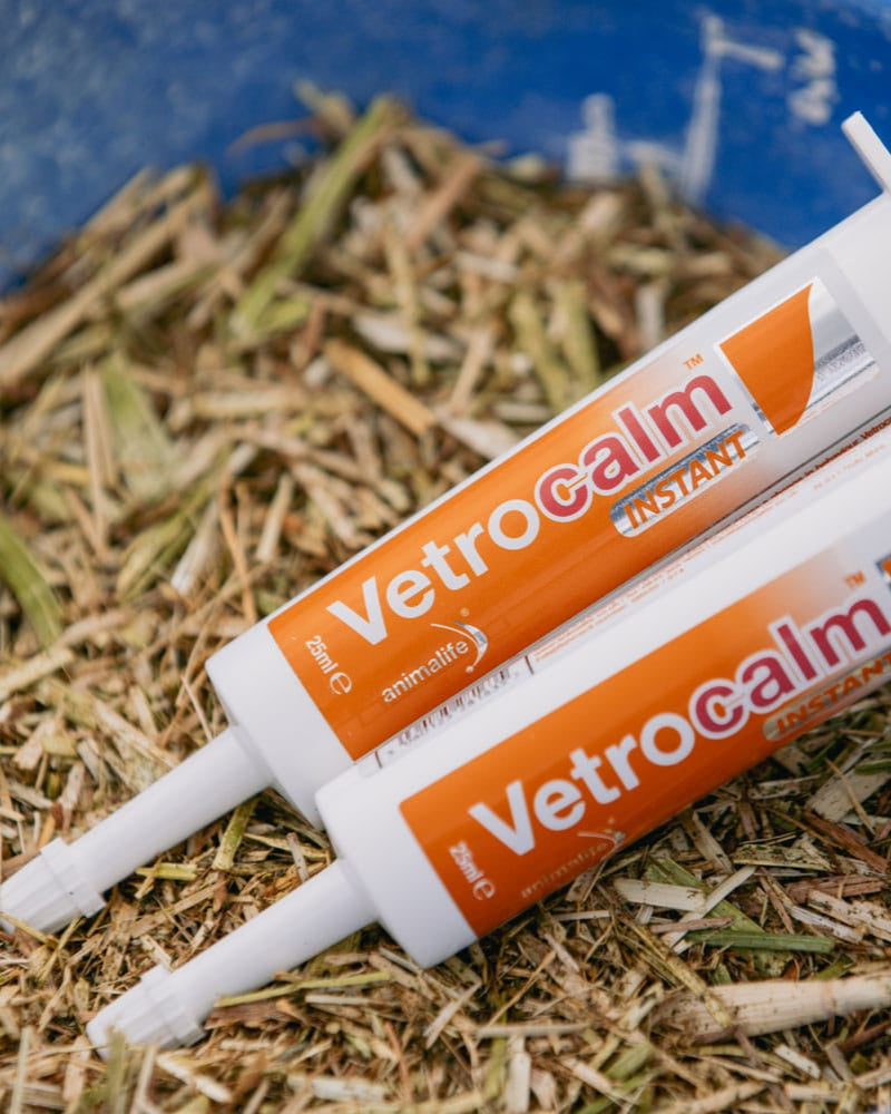 Vetrocalm Instant: Horse Calmer & Anxiety Relief | Natural Calming Supplement for Horses