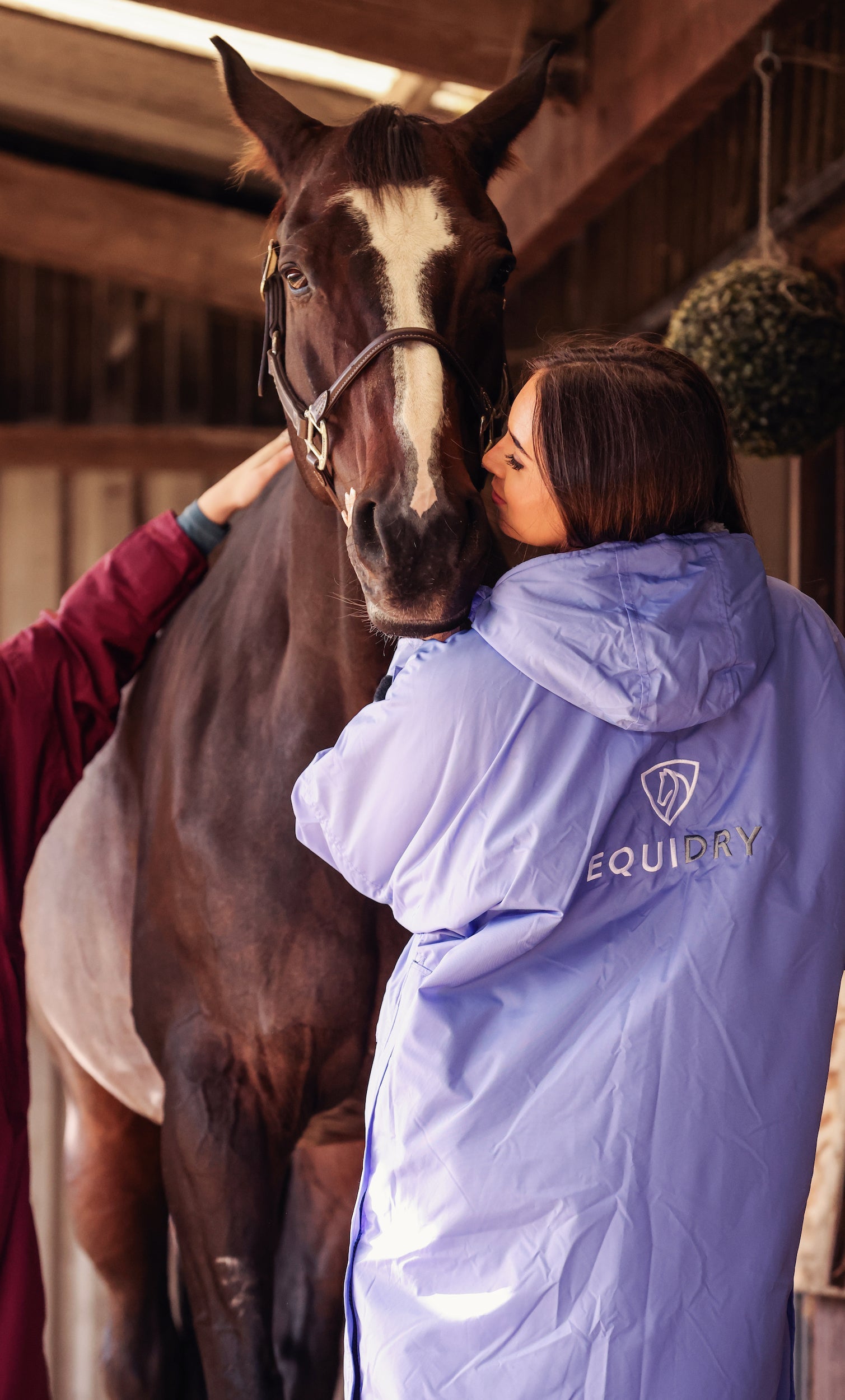 EQUIDRY women's long waterproof horse riding coat in blue lilac/grey rider with horse