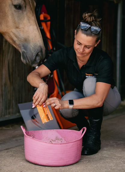 Woman prepares Animalife Vetrolytes PLUS for horse. Equine supplement for hydration and recovery. Electrolytes & BCAA for horses.