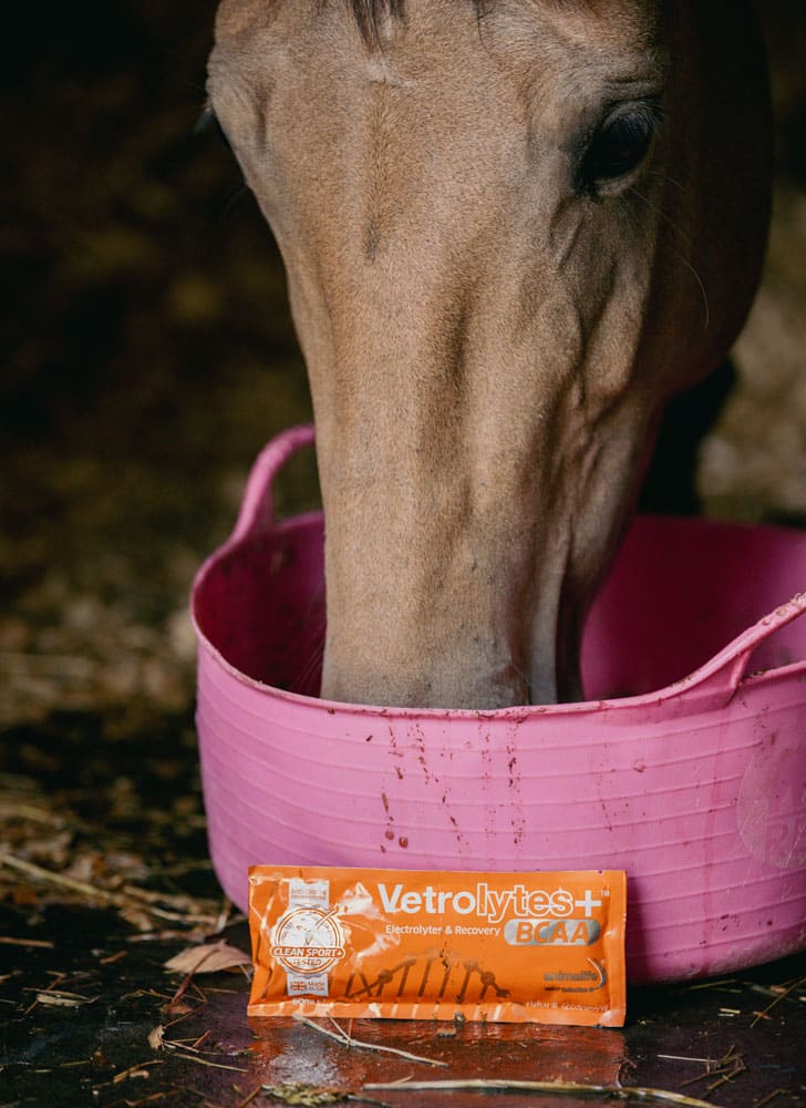 Horse Eating with Vetrolytes+ Electrolyte Supplement: Equine Recovery & Hydration. Clean Sport Tested. Animalife VETROLYTES PLUS SACHET.